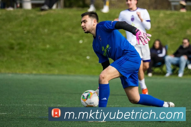 多媒体互动体验