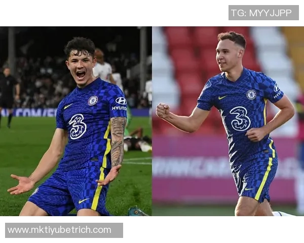 男子涉嫌谋杀未遂前切尔西青训球员扬盖奥案件引发关注